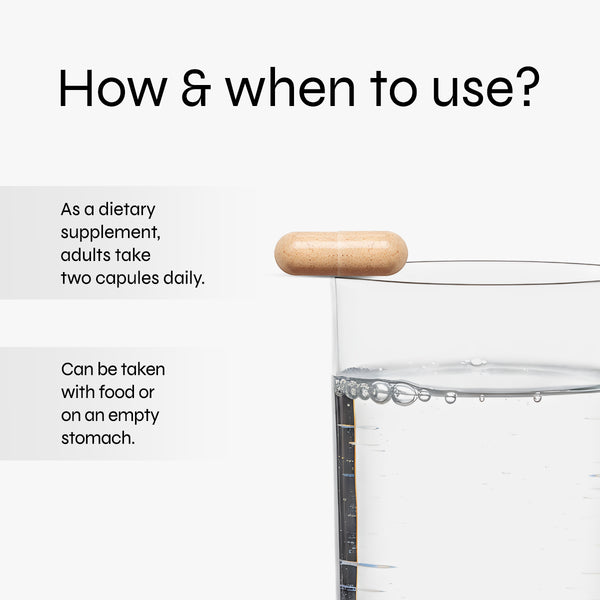 Lion's Mane Mushroom