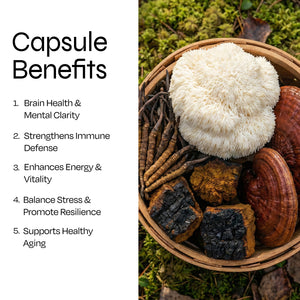 Mushroom Complex 10 X