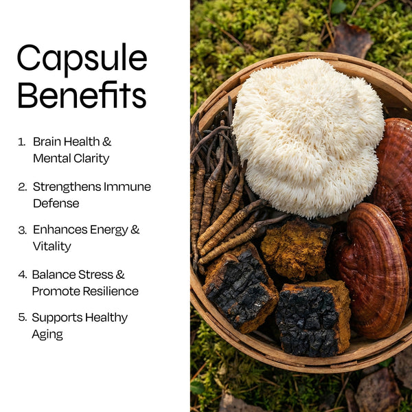 Mushroom Complex 10 X