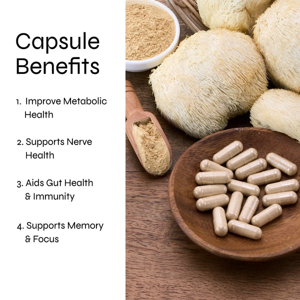 Lion's Mane Mushroom